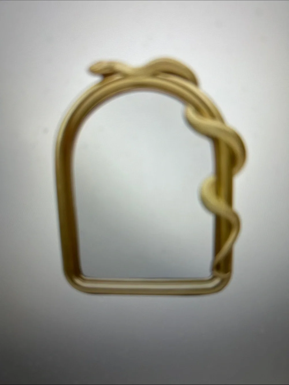 ASHLAND SNAKE ARCH WALL MIRROR NWT